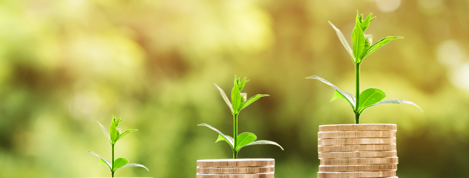 Plants growing from coins to show savings growth.